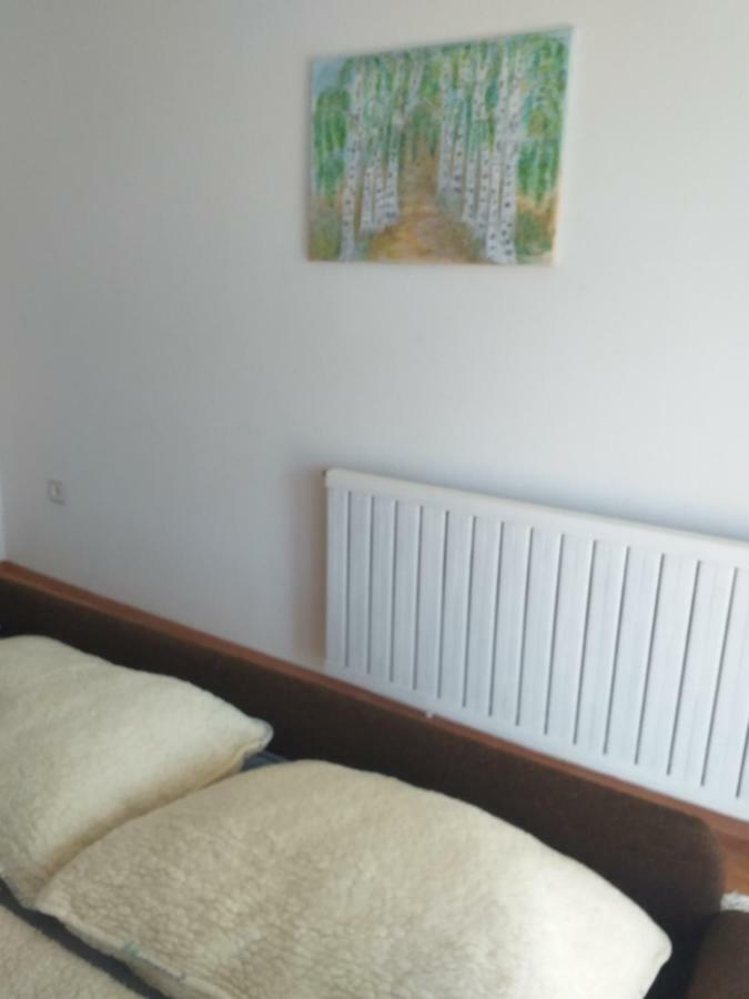 Apartment Primceva Maribor Exterior foto
